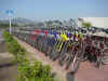 350 bicycles waiting for the guests.