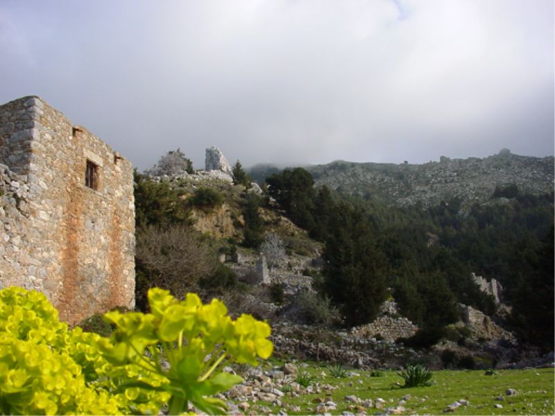 Old Pyli - The Castle.